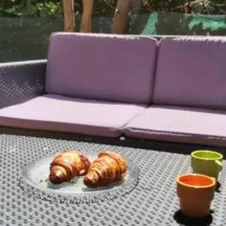 Appartement Avec Jardin Et Espace Remise En Forme Agde