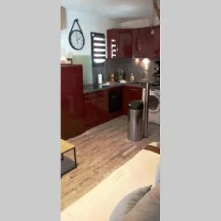 Appartement Avec Jardin Et Espace Remise En Forme Apartmán *