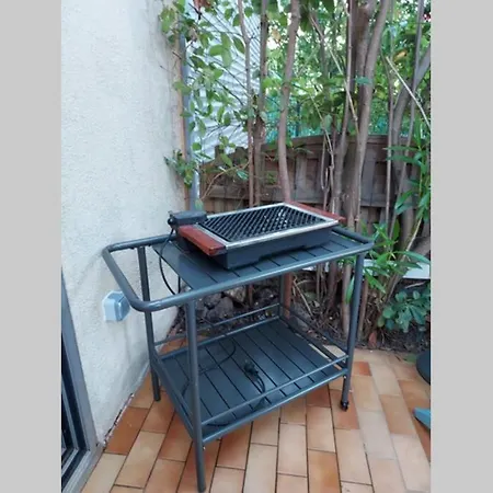 Appartement Avec Jardin Et Espace Remise En Forme * Agde